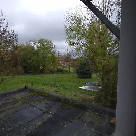 Darkwolf House 메르제부르크