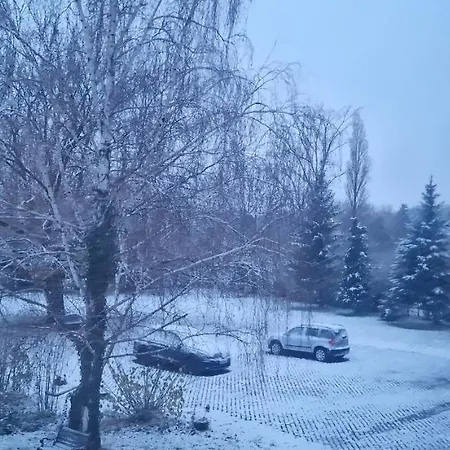 아파트 Darkwolf House 메르제부르크