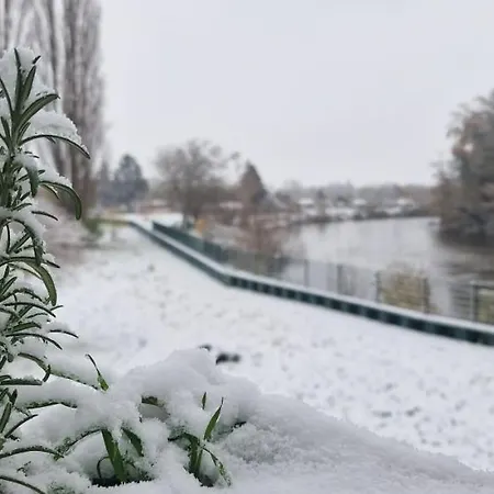 Darkwolf House * 메르제부르크