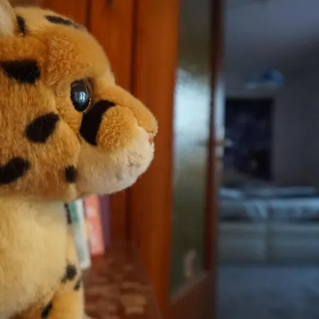 Darkwolf House 아파트 *