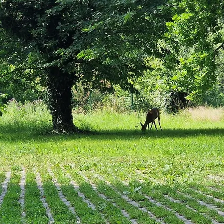 Darkwolf House Appartement