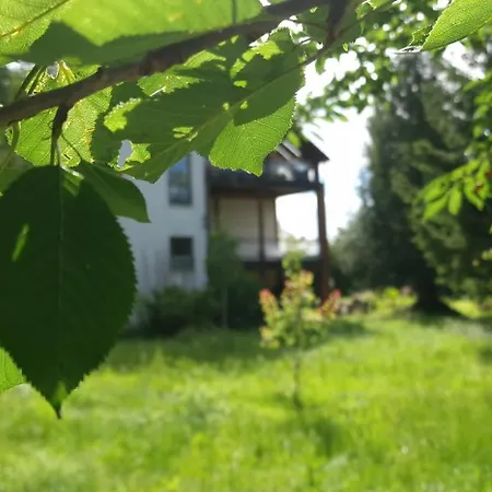 Darkwolf House Daire Merseburg