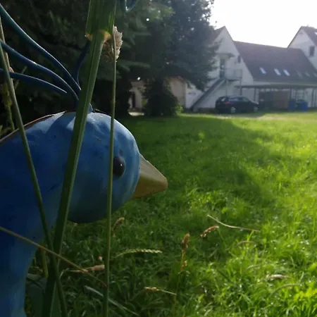 Darkwolf House 아파트 *