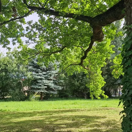 Darkwolf House 아파트 메르제부르크