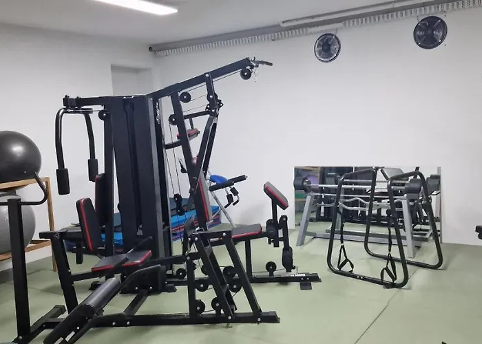 Darkwolf House Apartament *