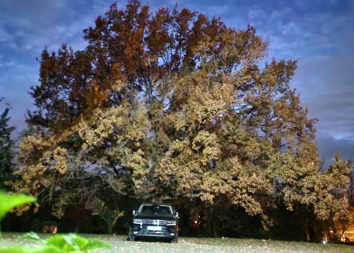 Darkwolf House Merseburg