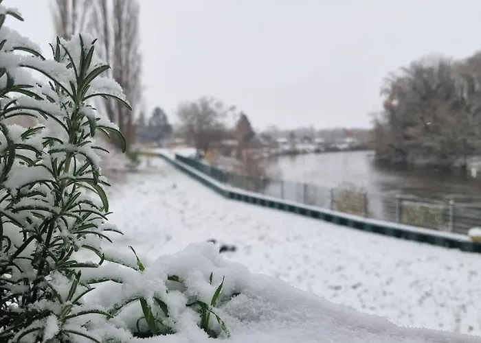 Darkwolf House * مرسيبورغ