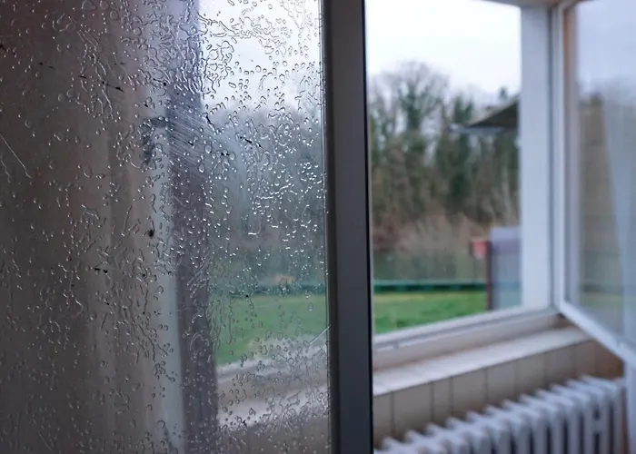 Apartament Darkwolf House Merseburg