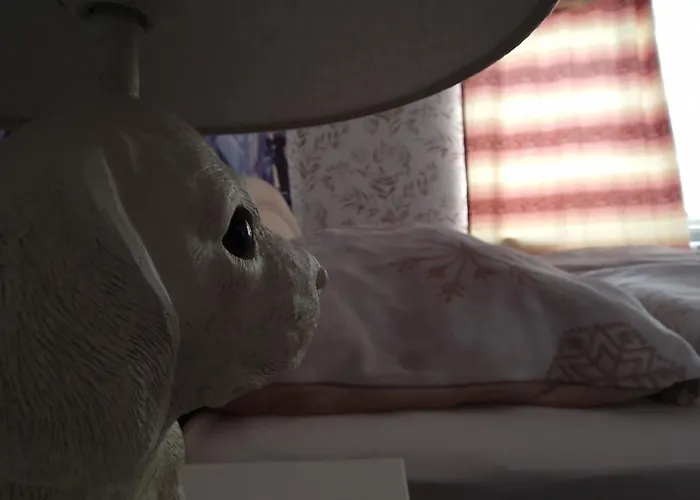 Apartament Darkwolf House *