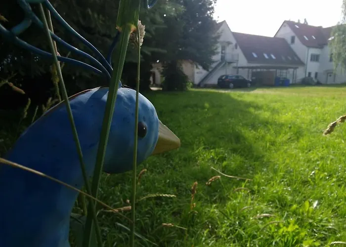 Darkwolf House Apartament *