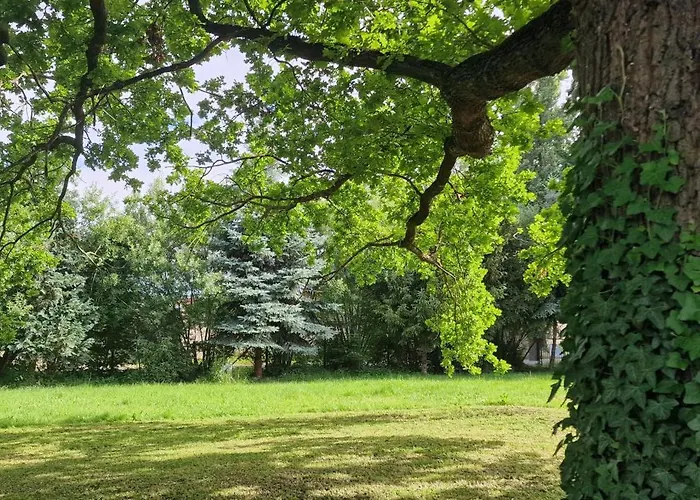 Darkwolf House Apartament Merseburg