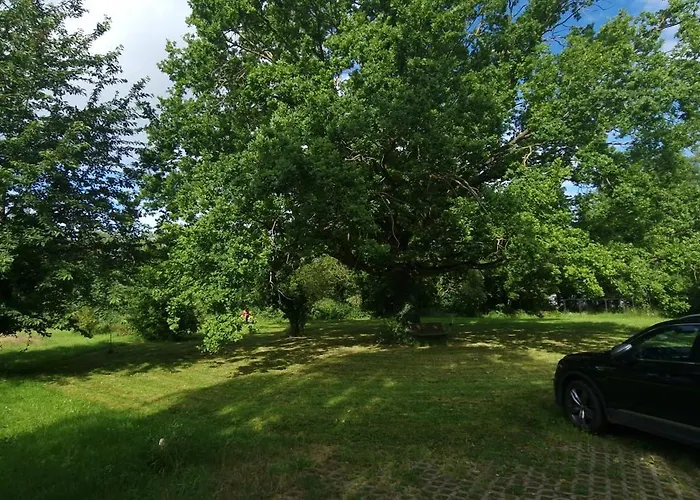 Darkwolf House Apartament Merseburg